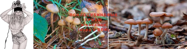 мет Ельня