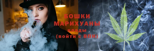 тгк Дмитров