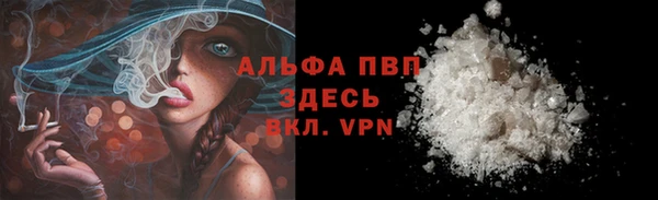 тгк Дмитров