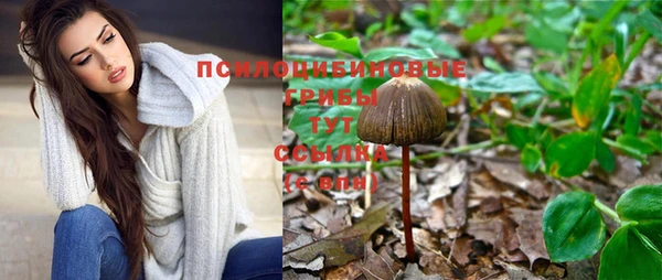 МДМА Дмитриев
