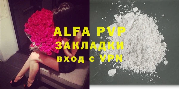 тгк Дмитров