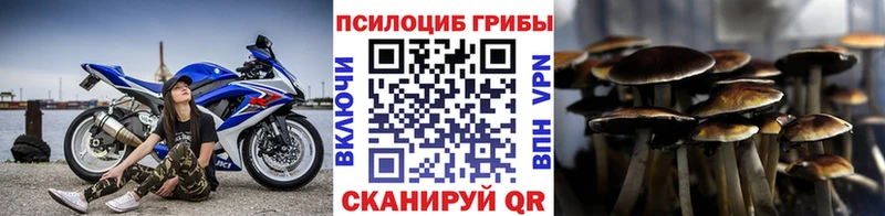 Псилоцибиновые грибы Psilocybe  маркетплейс телеграм  Владикавказ 